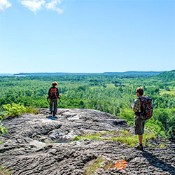 Skinners Bluff