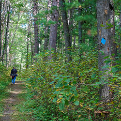 Hoist Lake Trail