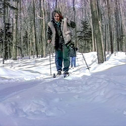 Indian Lake Pathway