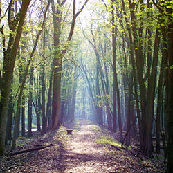 Shiawassee National Wildlife Refuge