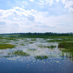 Houghton Lake Flats