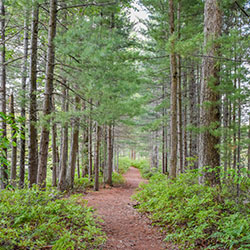 Marl Lake Trail