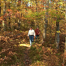 Ogemaw Hills Pathway