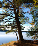 Colwell Lake Trail