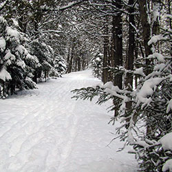 Rifle River Rec Area