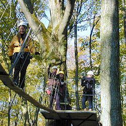 Treetop Hike